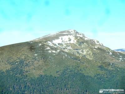 Loma del Noruego y Pinares de Valsaín;puerto de navacerrada bola del mundo micologia madrid rutas p